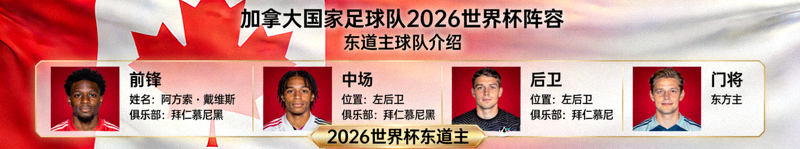巴西国家足球队国旗